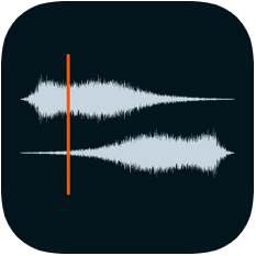 Auditor Audio Editor AU for iOS